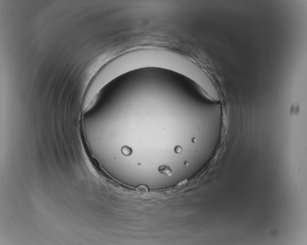 X0000112020003200908241526