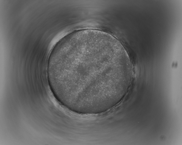 X0000112020004200908241526