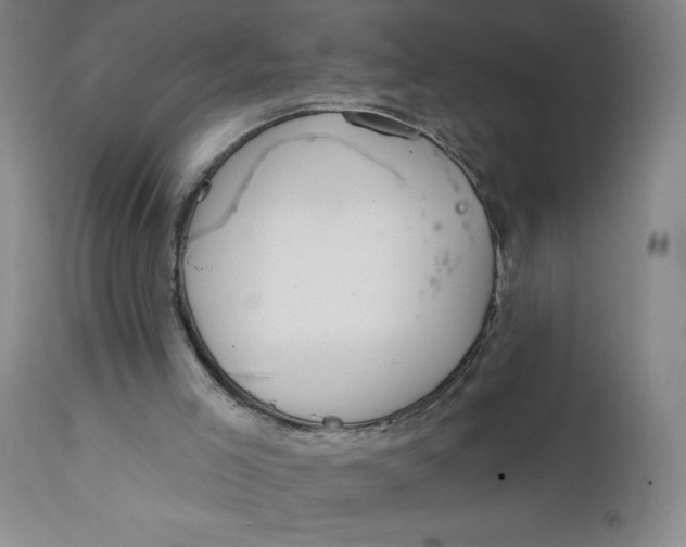 X0000112020005200908241526