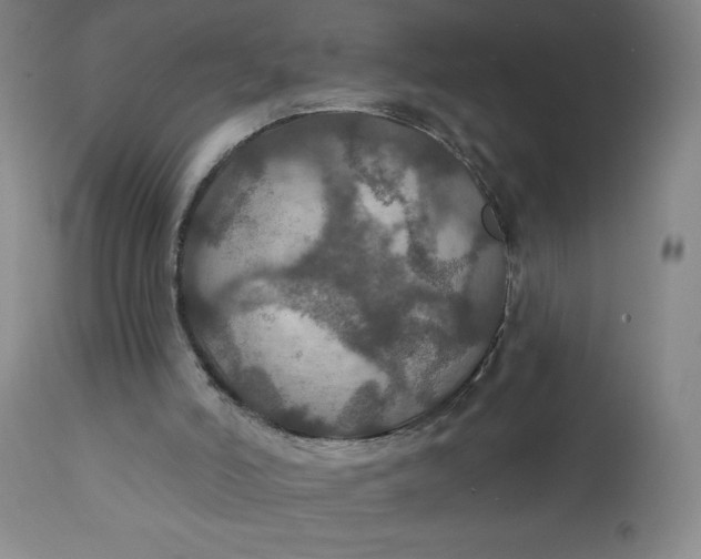 X0000112020006200908241526