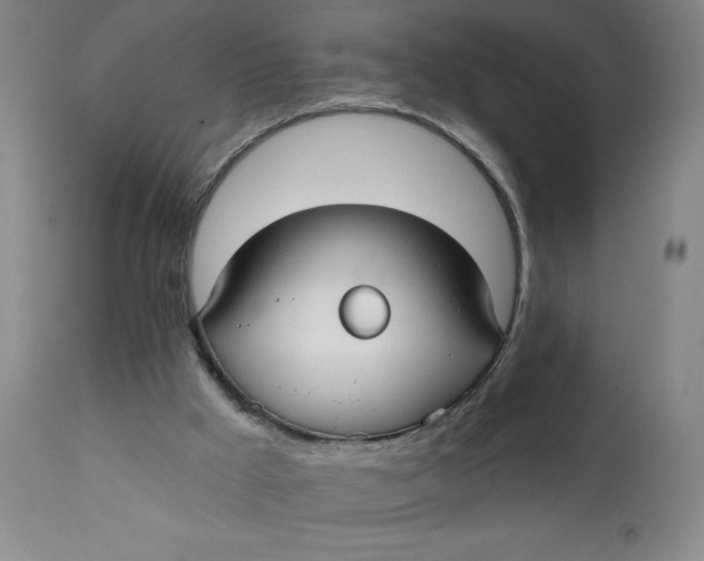 X0000112020009200908241526