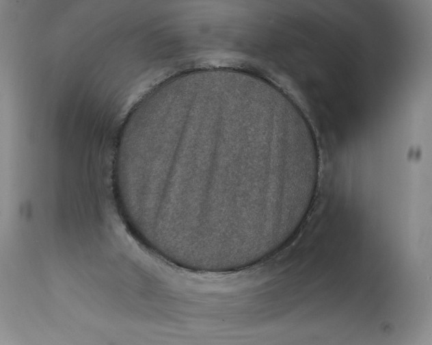 X0000112020010200908241525