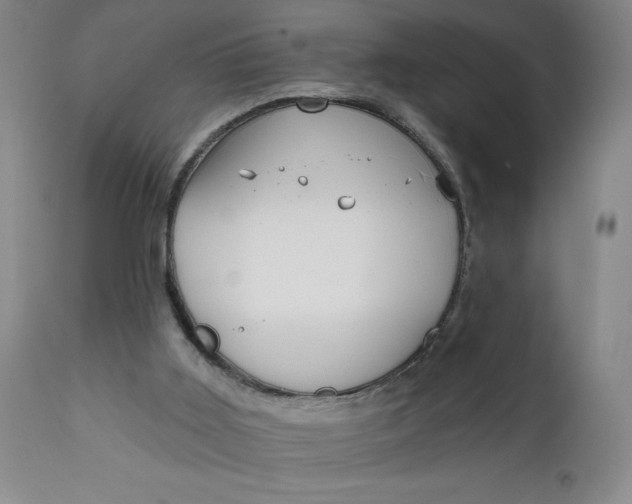 X0000112020011200908241525