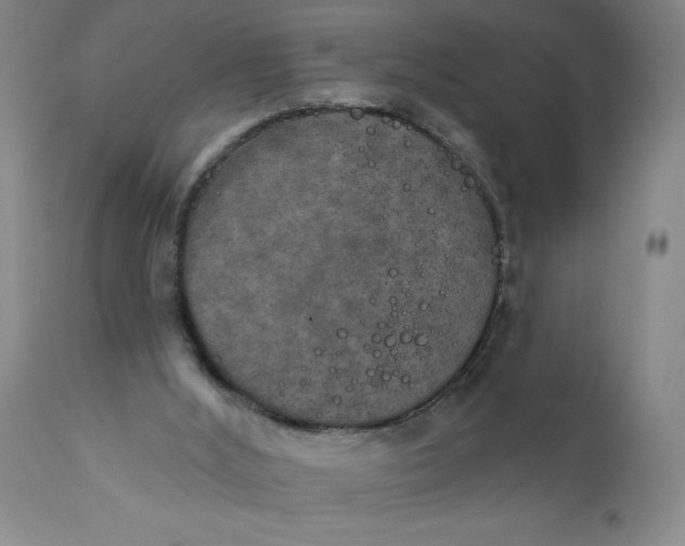 X0000112020012200908241525