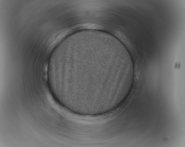 X0000112020014200908241525