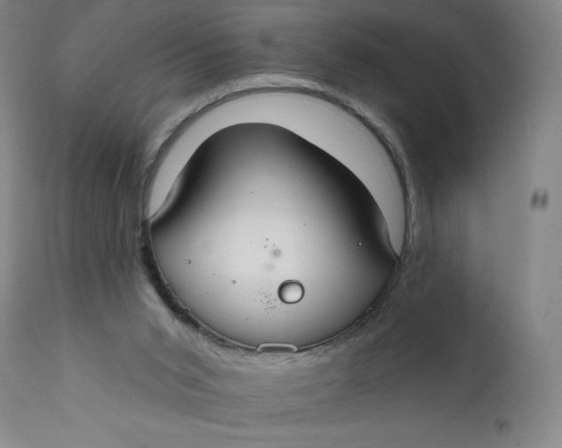 X0000112020015200908241525