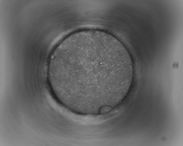 X0000112020016200908241525