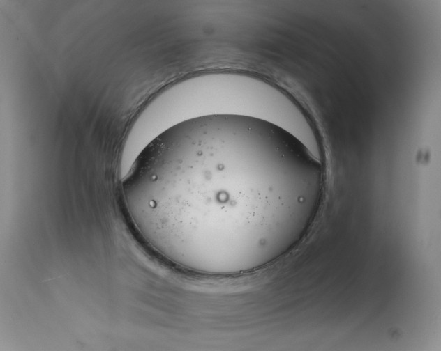 X0000112020017200908241525