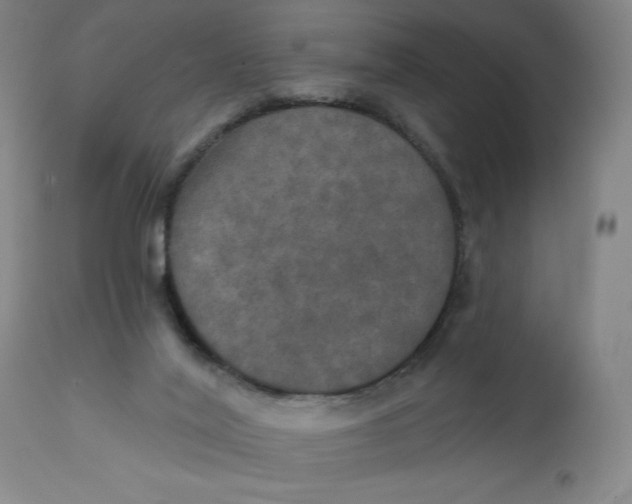 X0000112020020200908241525