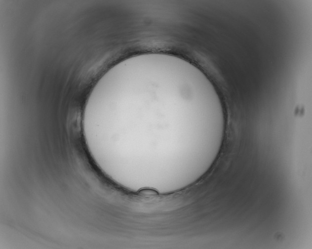 X0000112020021200908241525