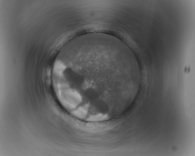 X0000112020022200908241525