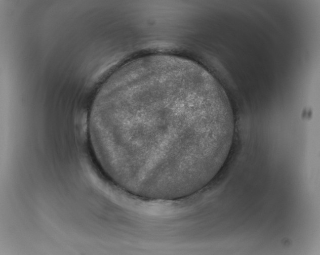 X0000112020024200908241525