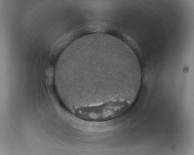 X0000112020026200908241525