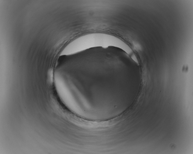 X0000112020027200908241525