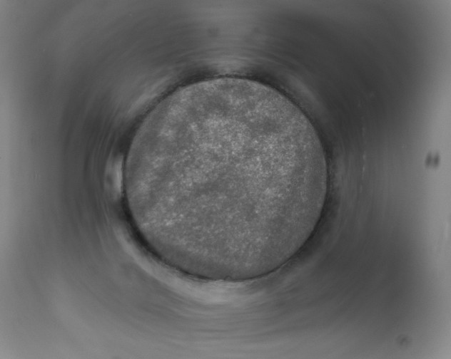 X0000112020028200908241525