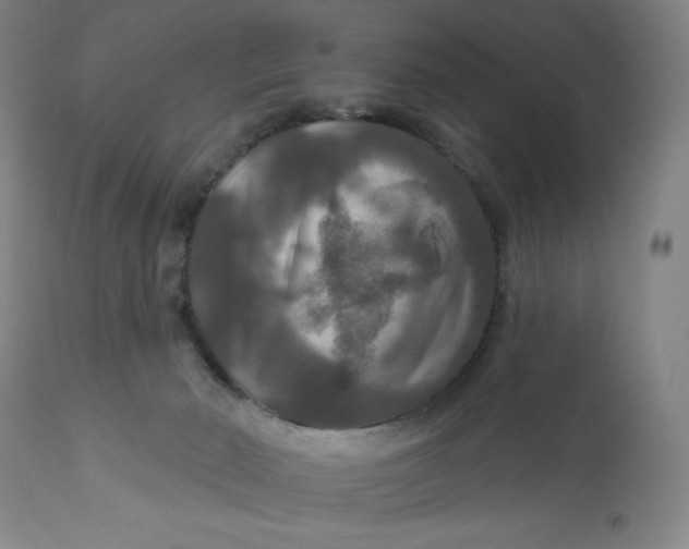 X0000112020030200908241525