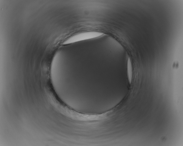 X0000112020031200908241525