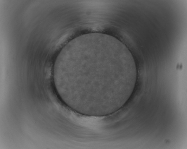 X0000112020032200908241525