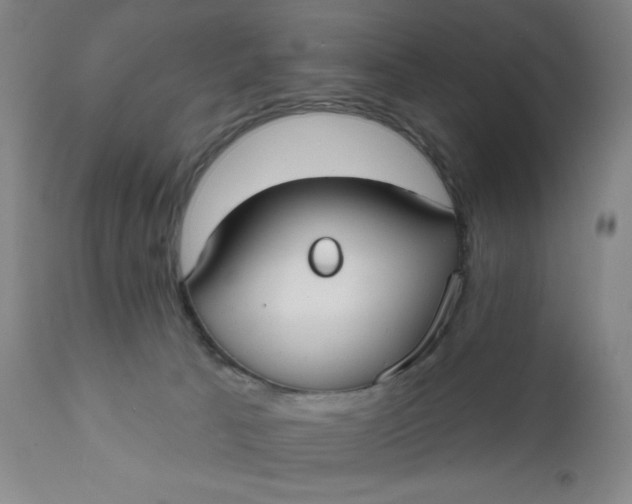 X0000112020033200908241525