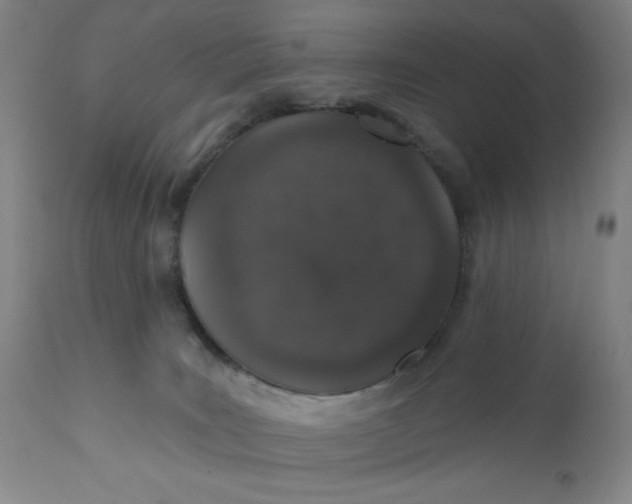 X0000112020035200908241525