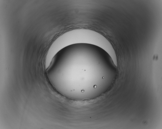 X0000112020037200908241525