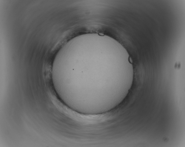 X0000112020038200908241525