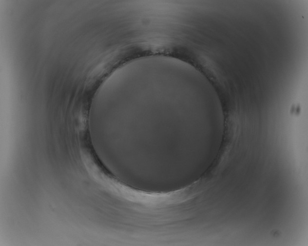 X0000112020039200908241525