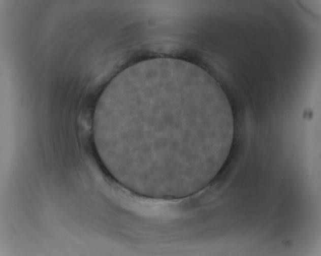 X0000112020040200908241525