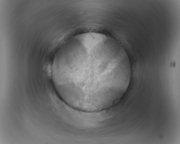 X0000112020042200908241525