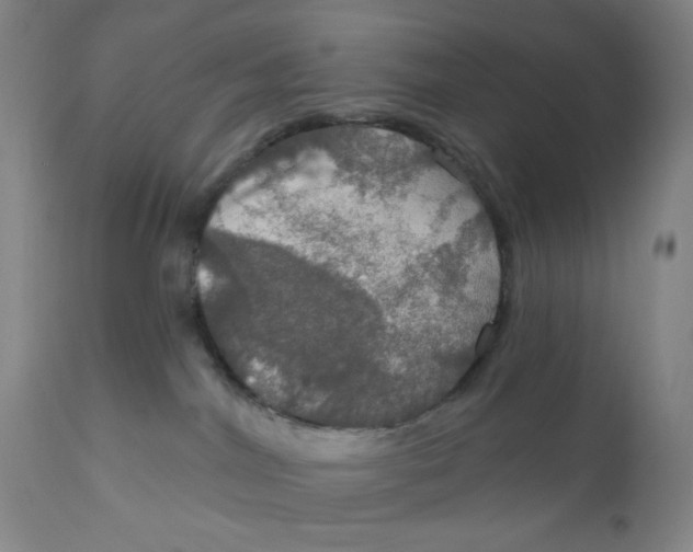 X0000112020044200908241525