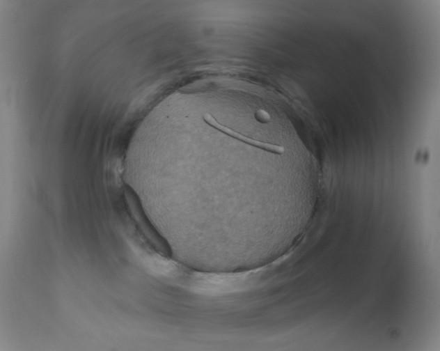 X0000112020045200908241525