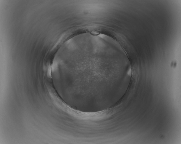 X0000112020046200908241525