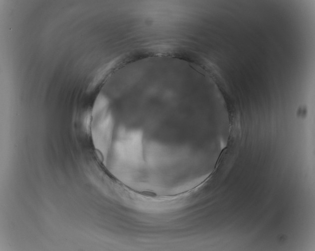 X0000112020047200908241525