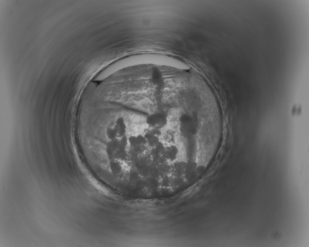 X0000112020049200908241524