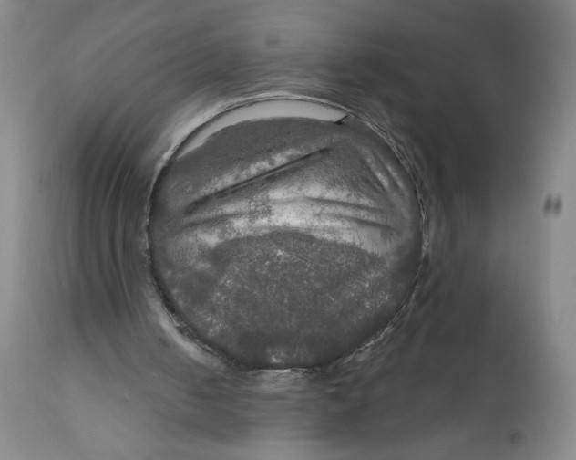 X0000112020050200908241524