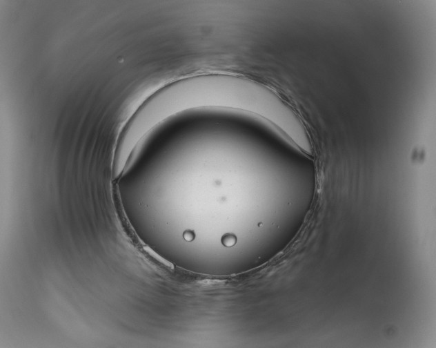 X0000112020052200908241524