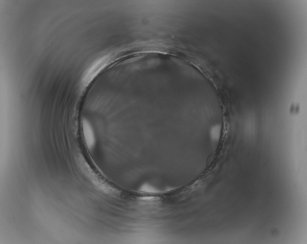 X0000112020053200908241524