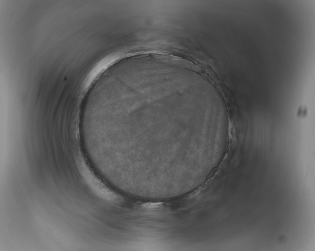 X0000112020054200908241524