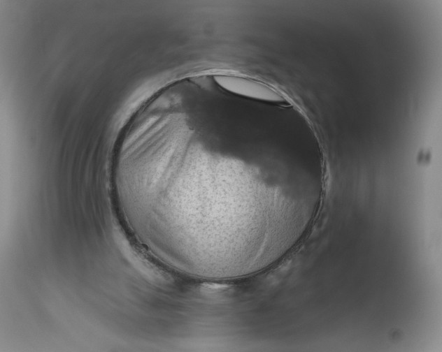 X0000112020055200908241524