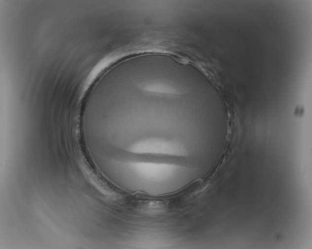 X0000112020056200908241524