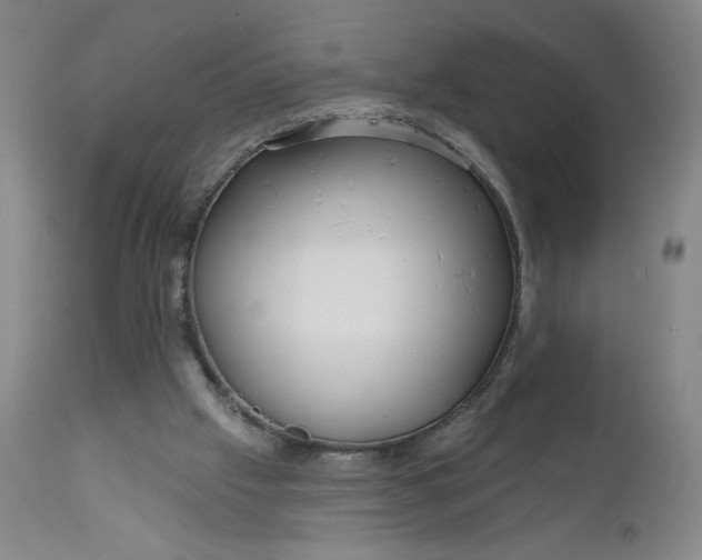 X0000112020057200908241524