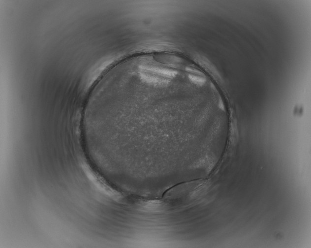 X0000112020058200908241524