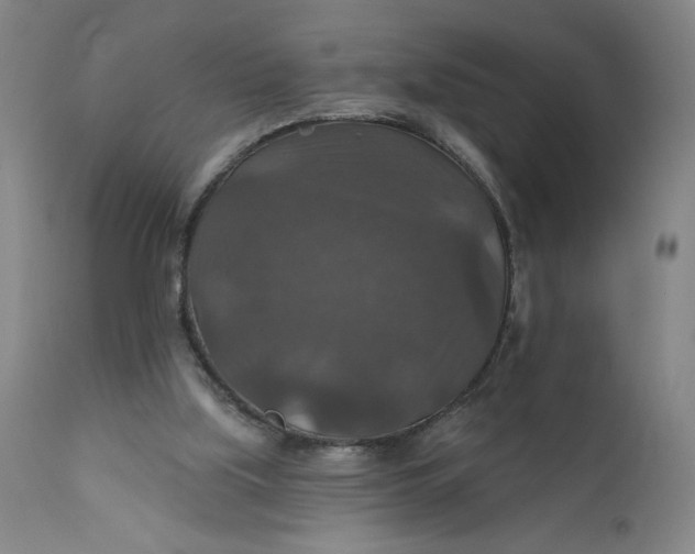 X0000112020059200908241524