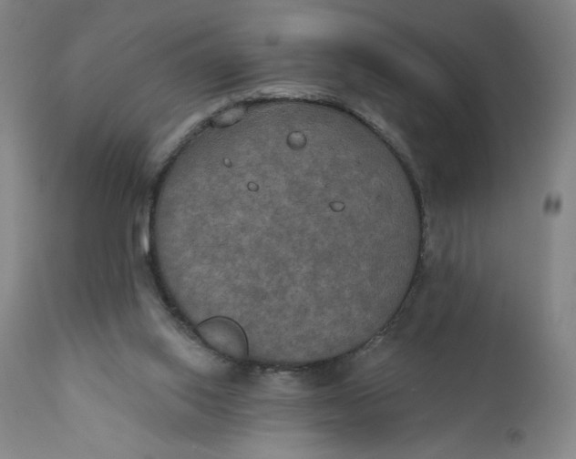 X0000112020062200908241524