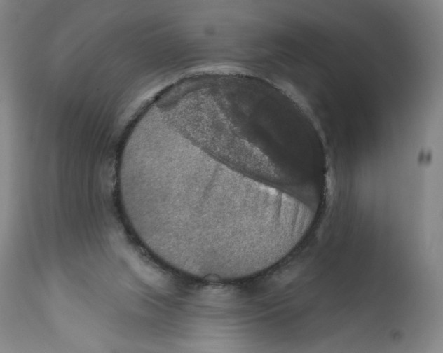 X0000112020063200908241524