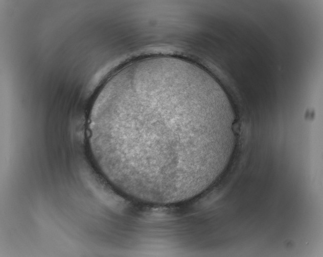 X0000112020064200908241525