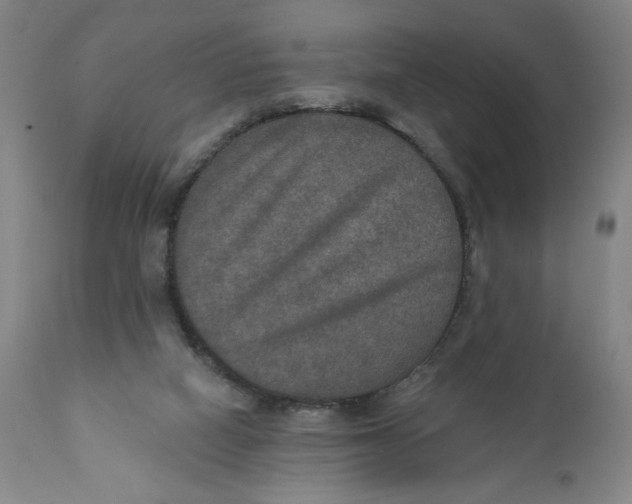 X0000112020066200908241525