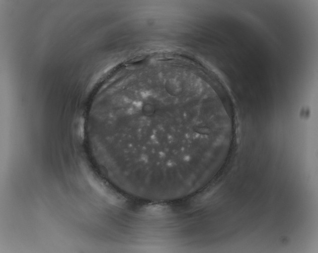 X0000112020067200908241525