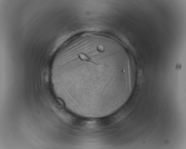 X0000112020068200908241525