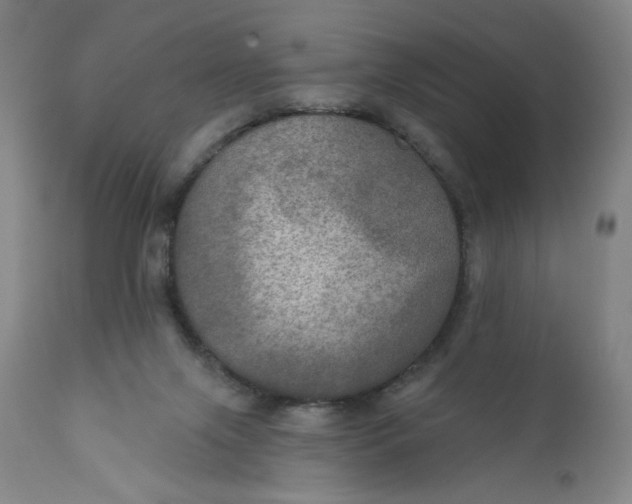 X0000112020071200908241525